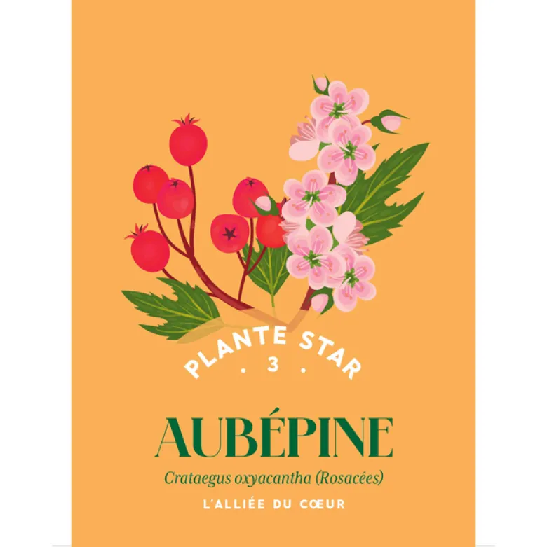 Coffret Mes cartes herboristerie