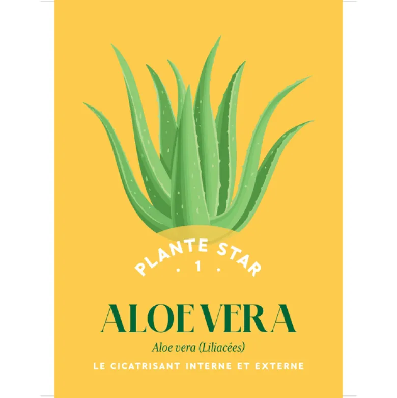 Coffret Mes cartes herboristerie