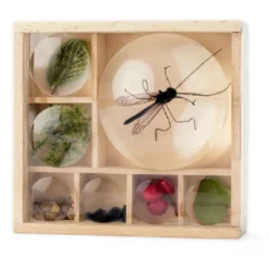 Coffret Mon Petit Musée