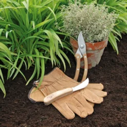 Coffret outils pour tailler