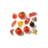 Coffret 12 sachets tomates anciennes