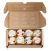 Coffret 8 variétés à planter - start