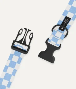 Collier pet recyclé xs - bleu