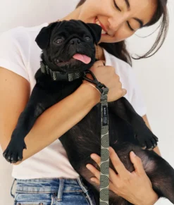 Collier pet recyclé xs - vert