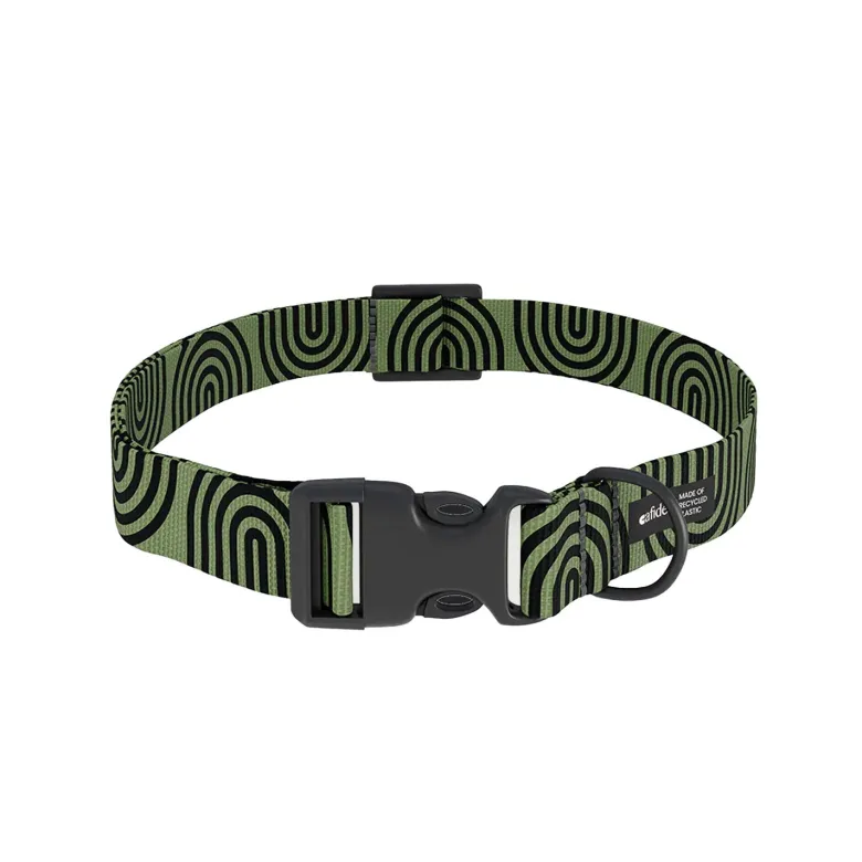 Collier pet recyclé xxs - vert