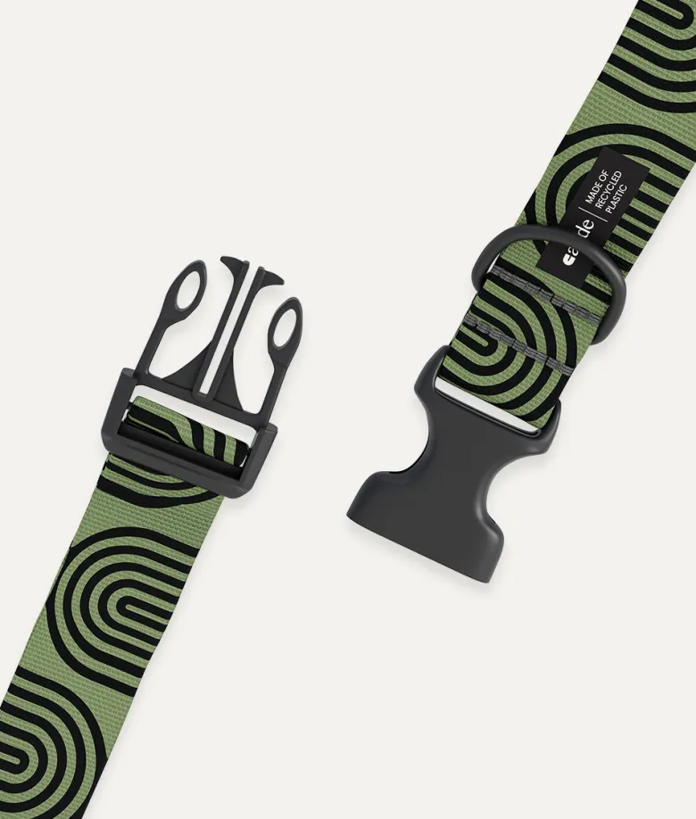 Collier pet recyclé xxs - vert