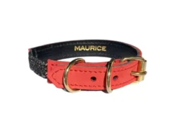 Collier pour chat panthera onca by maurice en nubuck - taille 1 - rouge