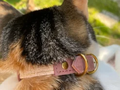 Collier pour chat panthera uncia by maurice en nubuck - taille 1 - rose