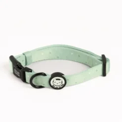 Collier pour chien rembourré et résistant - vert pastel - taille xl