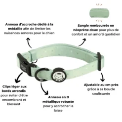 Collier pour chien rembourré et résistant - vert pastel - taille xl