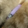 Collier pour chien rembourré et résistant - lilas - taille m