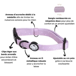 Collier pour chien rembourré et résistant - lilas - taille m