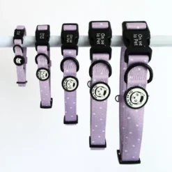 Collier pour chien rembourré et résistant - lilas - taille m