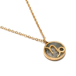 Collier signe astrologique capricorne