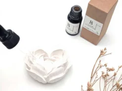 Concentré de parfum pour plâtre chance