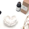 Concentré de parfum pour plâtre figue