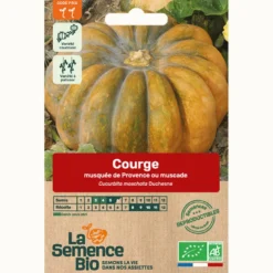 Courge musquée de provence ou muscade