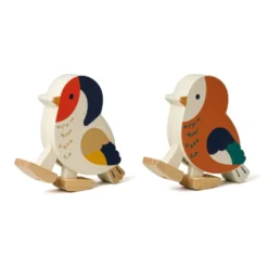 Course oiseaux de la forêt