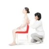 Coussin ergonomique pinto standard-mroug