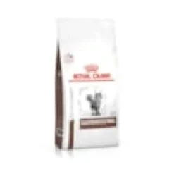 Croquettes chat veterinary cat gastrointestinal - royal canin