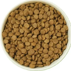 Croquettes 2.5 kg festin de saumon po