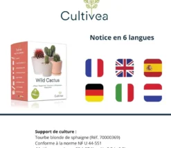 Cultivea - kit graines de cactus prêt à pousser