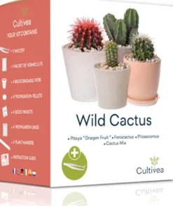Cultivea - kit graines de cactus prêt à pousser
