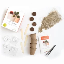 Cultivea - kit graines de cactus prêt à pousser