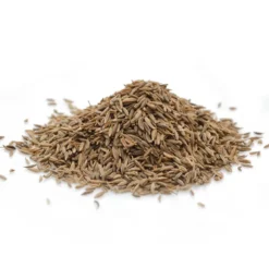 Cumin bio - 100g - graines entières