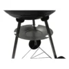 Dakota barbecue au charbon de bois d 413 cm