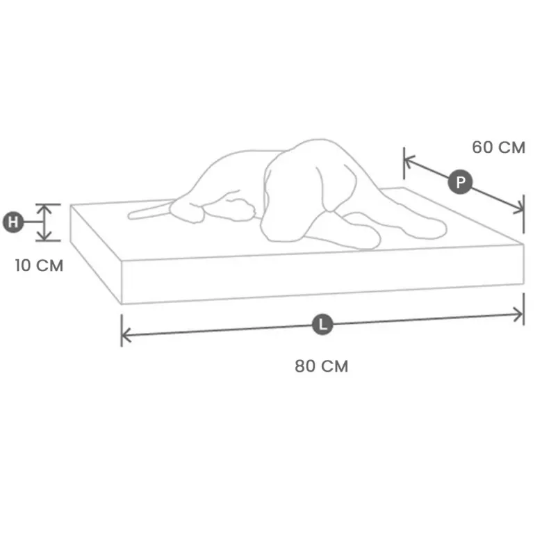 Dauphine, lit chien orthopédique mocca m