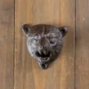 Décapsuleur Ours Grizzly en fonte