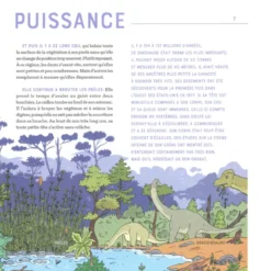 Devine qui je suis - Les dinosaures