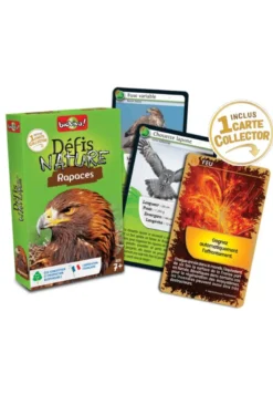 Défis nature : rapaces