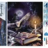 Diamond painting chouette dans la nuit