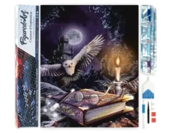 Diamond painting chouette dans la nuit