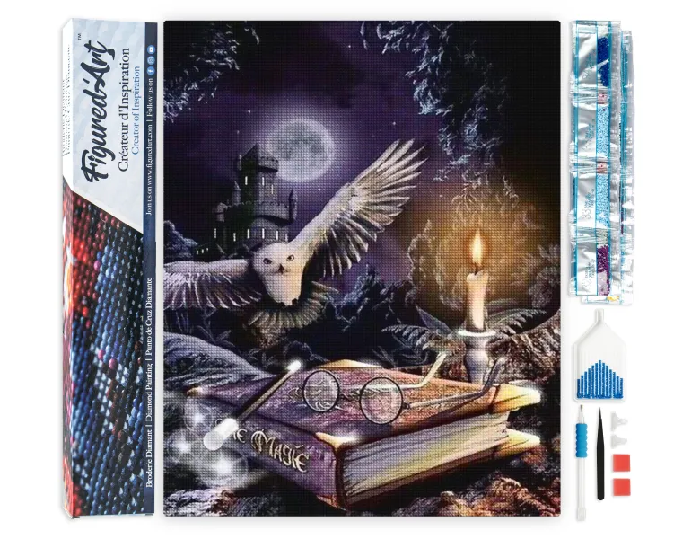 Diamond painting chouette dans la nuit