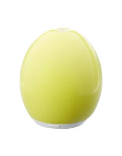 Diffuseur d'huiles essentielles rétro chic en céramique Vert
