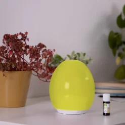 Diffuseur d'huiles essentielles rétro chic en céramique Vert