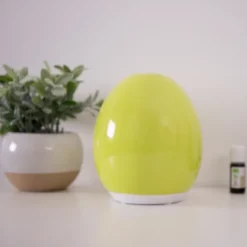 Diffuseur d'huiles essentielles rétro chic en céramique Vert