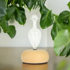 Diffuseur nébulisation bao + 3 huiles télétravail, pack aromathérapie focus