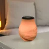 Diffuseur par chaleur douce calorya n°11