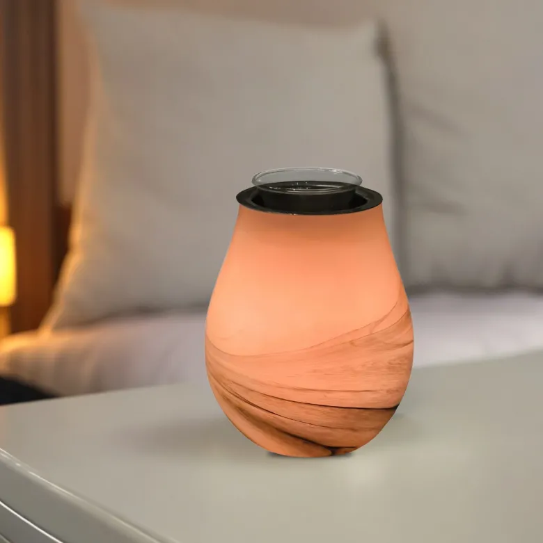 Diffuseur par chaleur douce calorya n°11