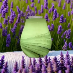 Diffuseur par chaleur douce calorya n°11
