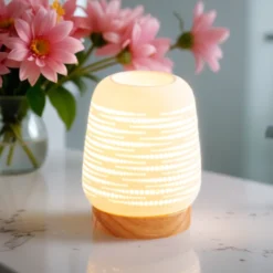 Diffuseur par chaleur douce calorya n°16