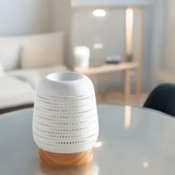 Diffuseur par chaleur douce calorya n°16