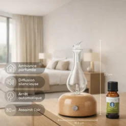 Diffuseur par nébulisation aurora