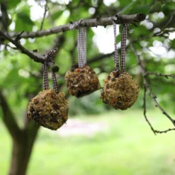Diy - mangeoire pomme de pin à fabriquer