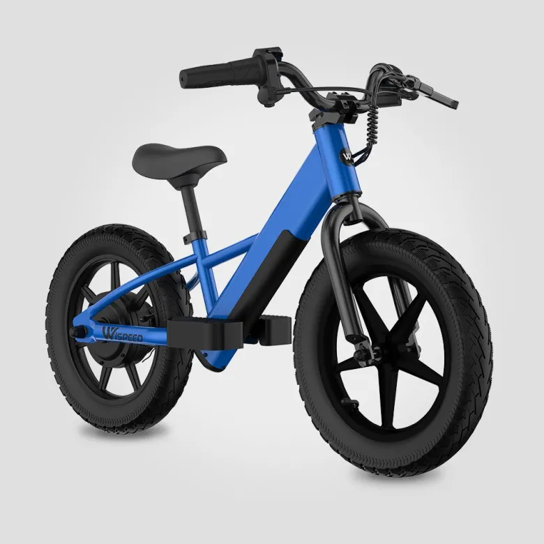 Draisienne électrique enfant wikids