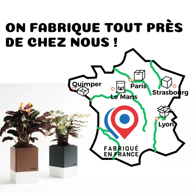 Duo de pot à auto-arrosage et son terreau spécifique